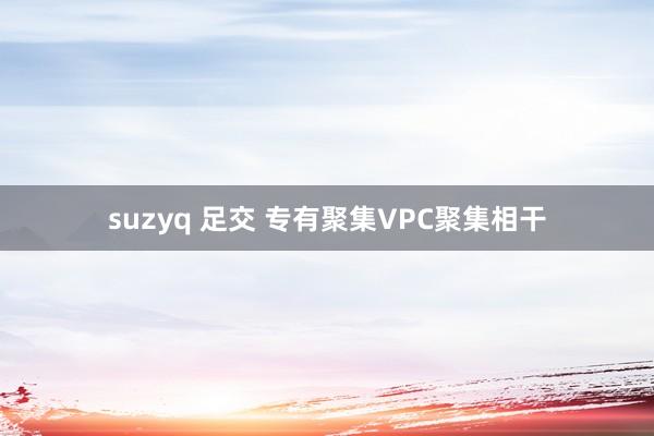 suzyq 足交 专有聚集VPC聚集相干