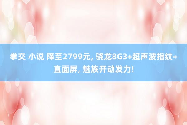 拳交 小说 降至2799元， 骁龙8G3+超声波指纹+直面屏， 魅族开动发力!